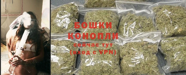 прущие грибы Навашино