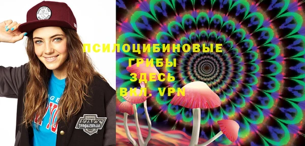 крисы Наволоки