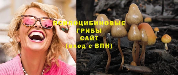 дмт Надым