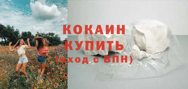 прущие грибы Навашино